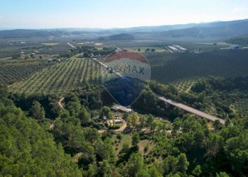 Vista delle montagne - Rustico Localita' Castagneto
 
SNC, Vieste - foto 26