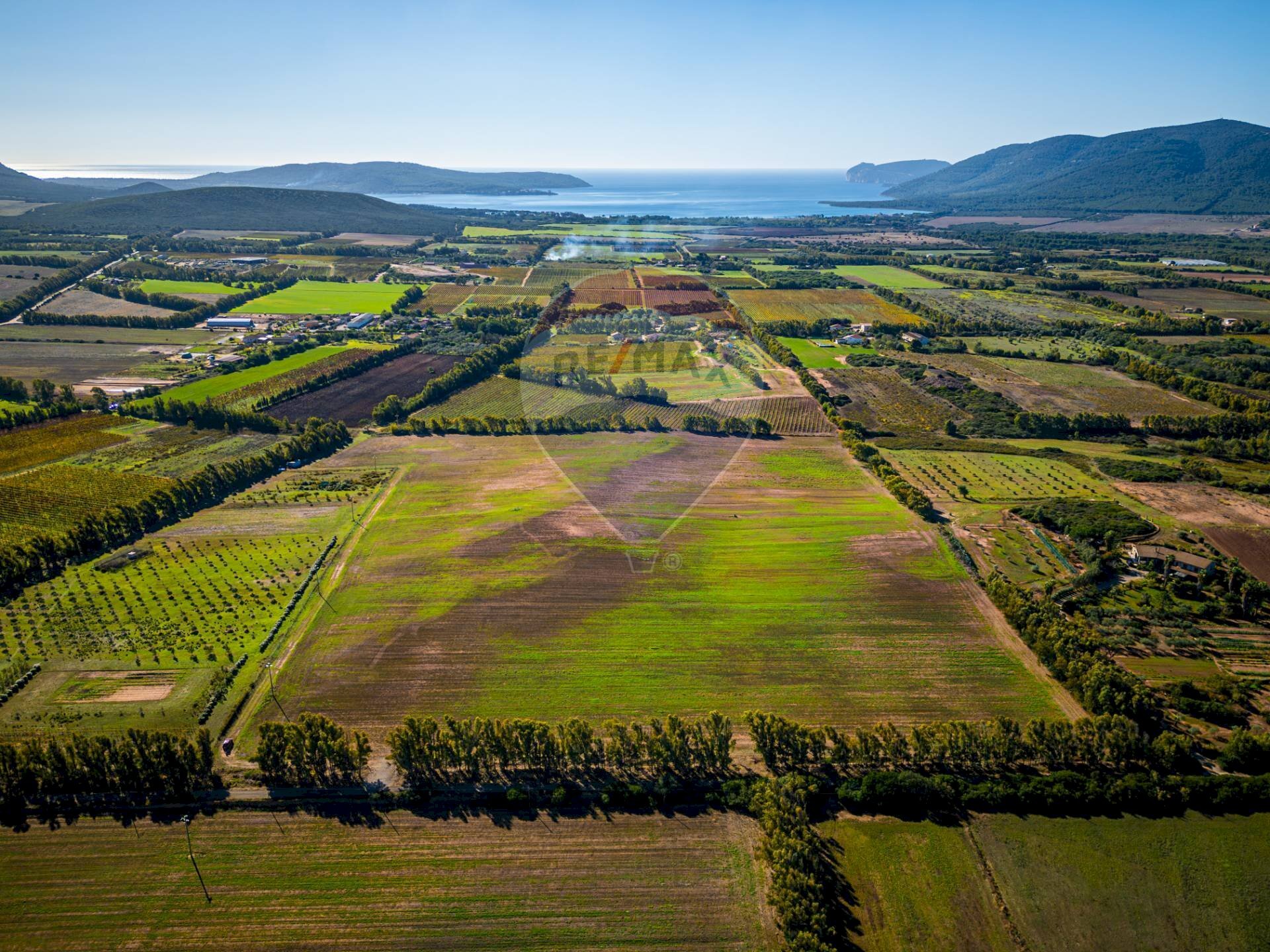 Vista delle montagne - Building land Via Cala del Vino
 
S.N.C., Alghero - photo 1