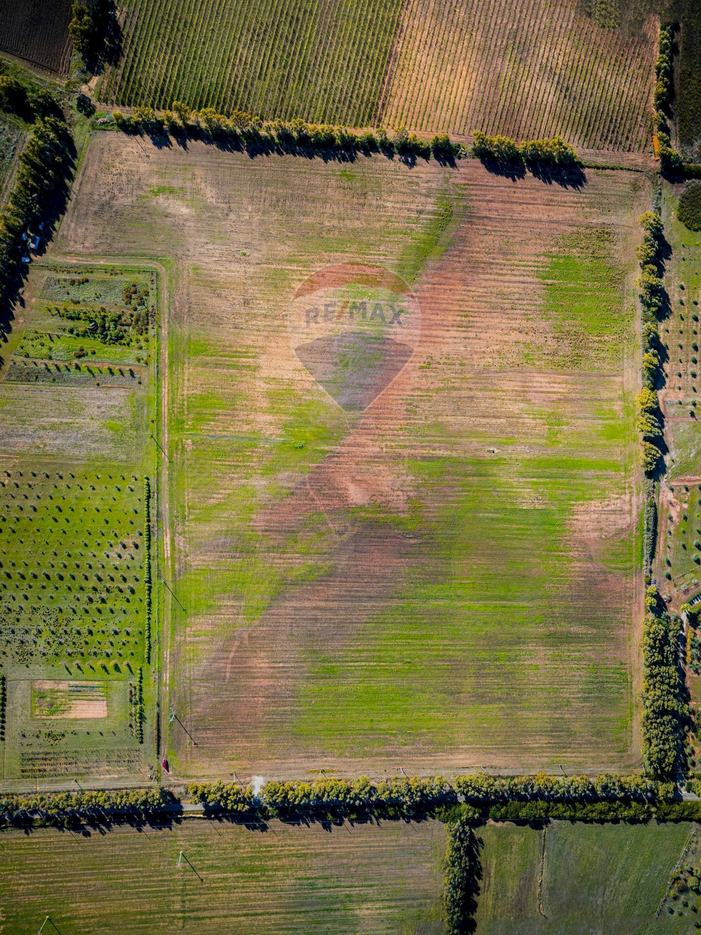 Non correlato - Building land Via Cala del Vino
 
S.N.C., Alghero - photo 3