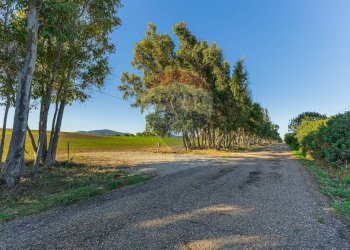 Giardino - Building land Via Cala del Vino
 
S.N.C., Alghero - photo 4