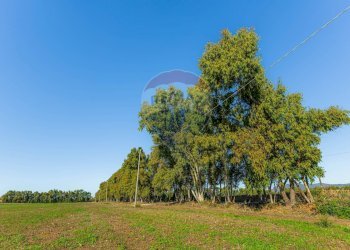 Giardino - Building land Via Cala del Vino
 
S.N.C., Alghero - photo 8