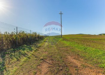 Giardino - Building land Via Cala del Vino
 
S.N.C., Alghero - photo 10
