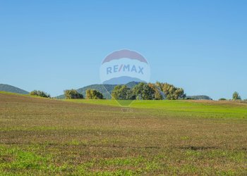Giardino - Building land Via Cala del Vino
 
S.N.C., Alghero - photo 11