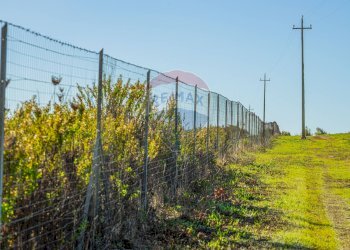 Non correlato - Building land Via Cala del Vino
 
S.N.C., Alghero - photo 12