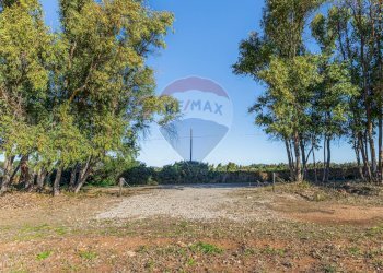 Giardino - Building land Via Cala del Vino
 
S.N.C., Alghero - photo 15