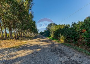 Giardino - Building land Via Cala del Vino
 
S.N.C., Alghero - photo 19
