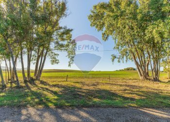 Giardino - Building land Via Cala del Vino
 
S.N.C., Alghero - photo 20