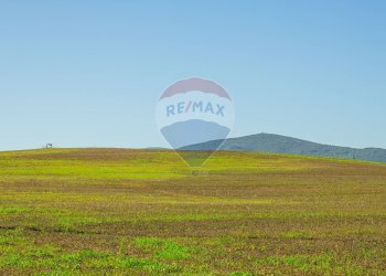 Vista delle montagne - Building land Via Cala del Vino
 
S.N.C., Alghero - photo 22