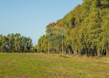 Giardino - Building land Via Cala del Vino
 
S.N.C., Alghero - photo 23
