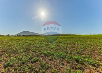 Giardino - Building land Via Cala del Vino
 
S.N.C., Alghero - photo 26