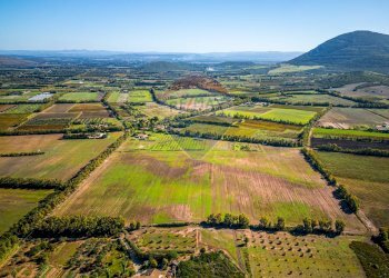 Vista delle montagne - Building land Via Cala del Vino
 
S.N.C., Alghero - photo 27