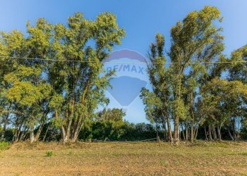 Giardino - Building land Via Cala del Vino
 
S.N.C., Alghero - photo 28