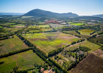 Vista delle montagne - Building land Via Cala del Vino
 
S.N.C., Alghero - photo 29