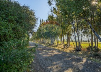 Giardino - Building land Via Cala del Vino
 
S.N.C., Alghero - photo 30