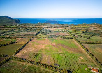 Vista delle montagne - Building land Via Cala del Vino
 
S.N.C., Alghero - photo 31