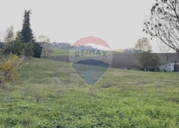 Giardino - Terreno edificabile strada torrione, Neviano degli Arduini - foto 3