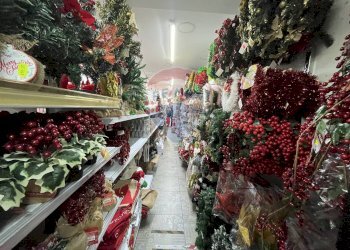 Giardino - Shop Via Pini di Solimene
35, San Giorgio a Cremano - photo 5