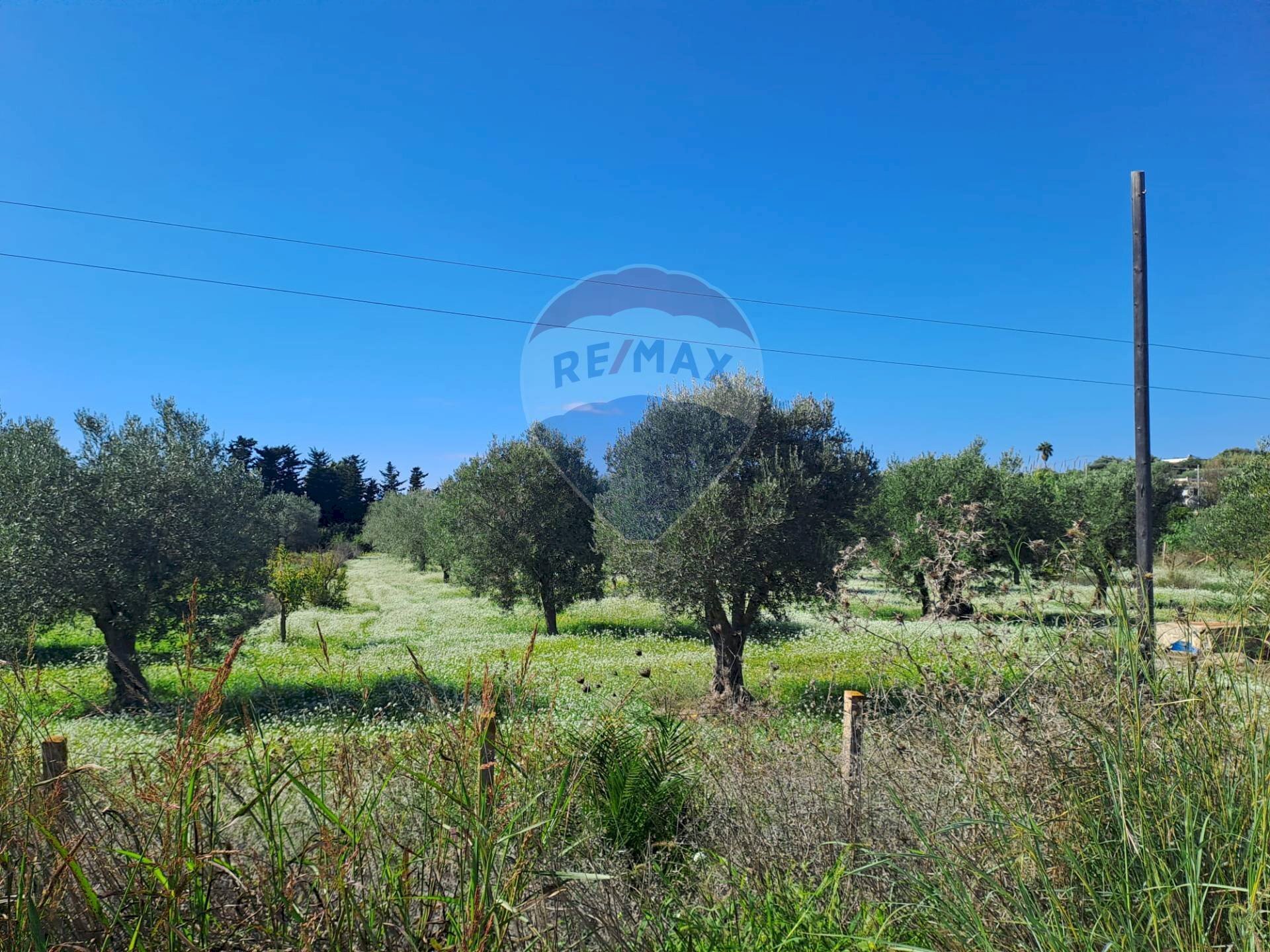 Giardino - Terreno agricolo Santa Maria del Focallo, Pozzallo - foto 3