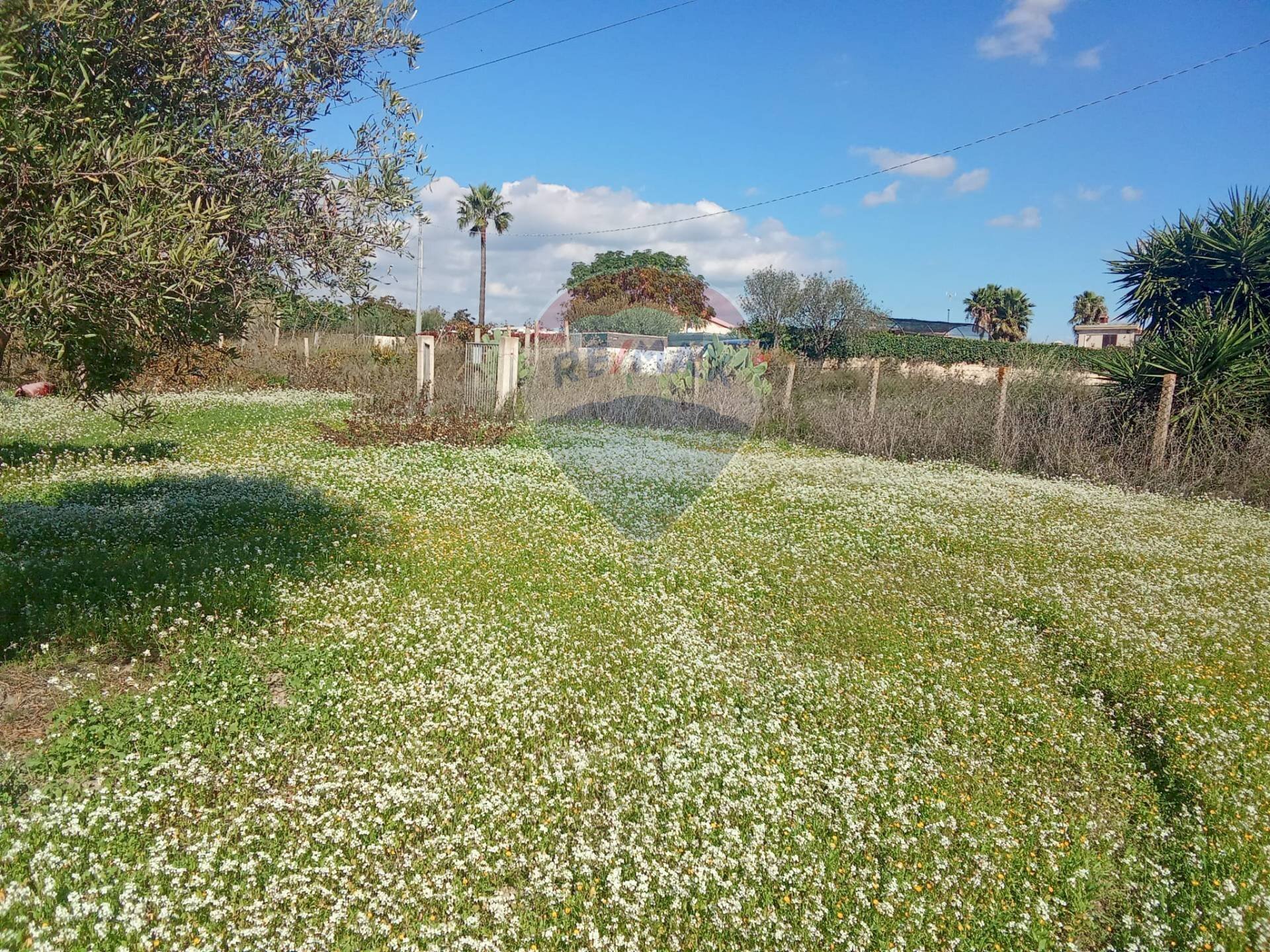 Giardino - Terreno agricolo Santa Maria del Focallo, Pozzallo - foto 2