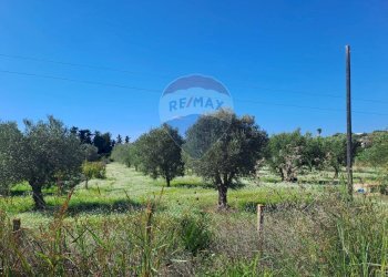 Giardino - Terreno agricolo Santa Maria del Focallo, Pozzallo - foto 3