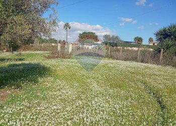 Giardino - Terreno agricolo Santa Maria del Focallo, Pozzallo - foto 2