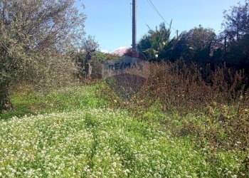 Giardino - Terreno agricolo Santa Maria del Focallo, Pozzallo - foto 9