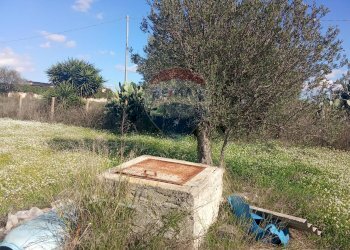 Giardino - Terreno agricolo Santa Maria del Focallo, Pozzallo - foto 13
