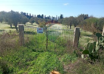 Giardino - Terreno agricolo Santa Maria del Focallo, Pozzallo - foto 17