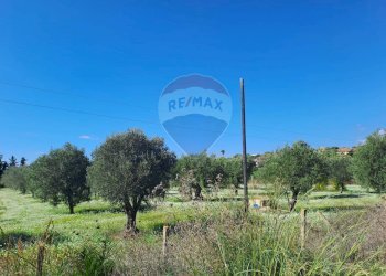 Giardino - Terreno agricolo Santa Maria del Focallo, Pozzallo - foto 18