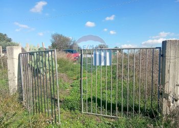 Giardino - Terreno agricolo Santa Maria del Focallo, Pozzallo - foto 23