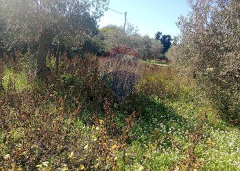 Non correlato - Terreno agricolo Santa Maria del Focallo, Pozzallo - foto 25
