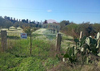 Giardino - Terreno agricolo Santa Maria del Focallo, Pozzallo - foto 26