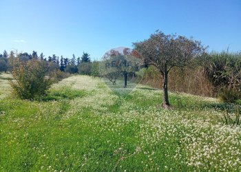 Giardino - Terreno agricolo Santa Maria del Focallo, Pozzallo - foto 28