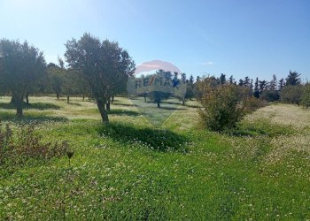 Giardino - Terreno agricolo Santa Maria del Focallo, Pozzallo - foto 29