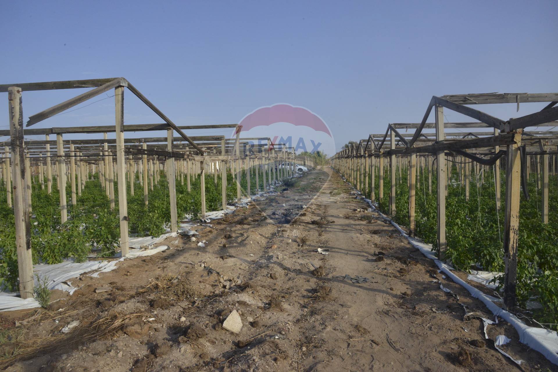 Giardino - Terreno agricolo C.da Pozzo Bollente
 
Snc, Vittoria - foto 1