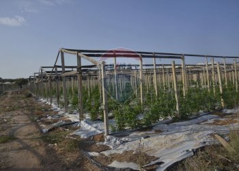 Balcone - Terreno agricolo C.da Pozzo Bollente
 
Snc, Vittoria - foto 4