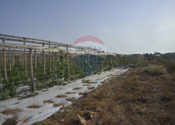 Balcone - Terreno agricolo C.da Pozzo Bollente
 
Snc, Vittoria - foto 7