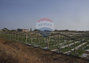 Edificio all\'aperto - Terreno agricolo C.da Pozzo Bollente
 
Snc, Vittoria - foto 9