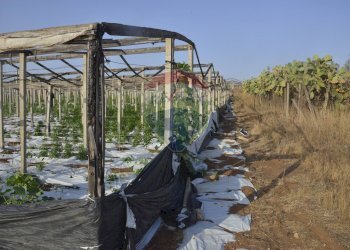 Non correlato - Terreno agricolo C.da Pozzo Bollente
 
Snc, Vittoria - foto 11