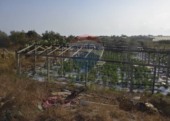 Giardino - Terreno agricolo C.da Pozzo Bollente
 
Snc, Vittoria - foto 12