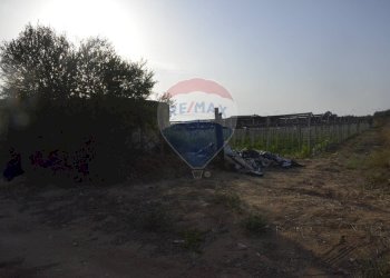 Edificio all\'aperto - Terreno agricolo C.da Pozzo Bollente
 
Snc, Vittoria - foto 15