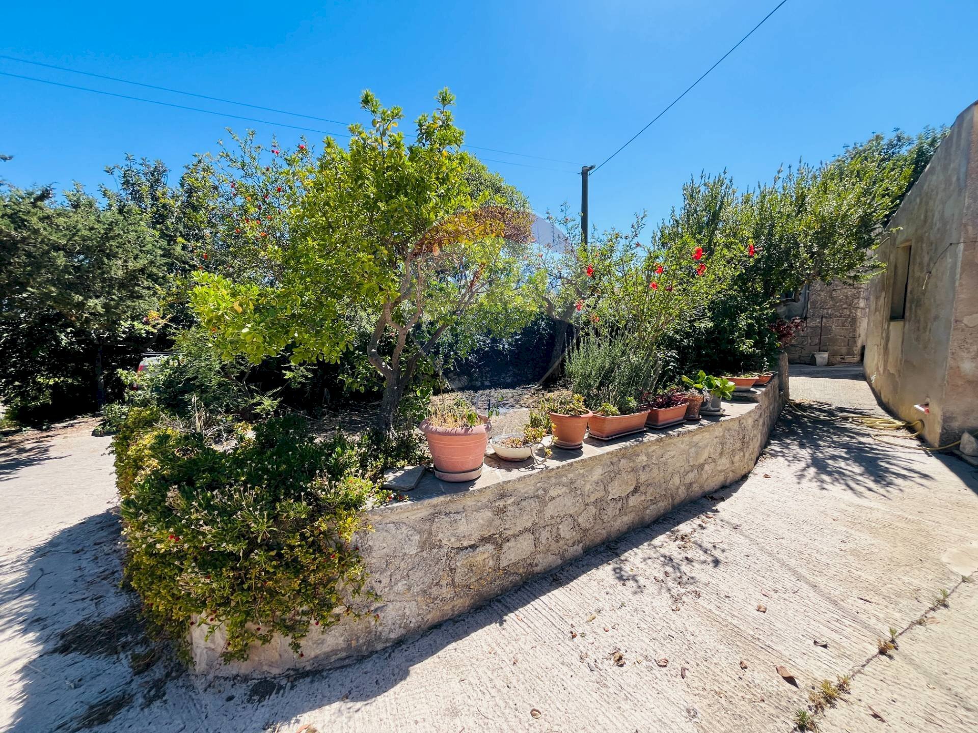 Giardino - Casa indipendente Modica - foto 3