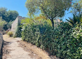 Giardino - Casa indipendente Modica - foto 9