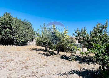 Giardino - Casa indipendente Modica - foto 20