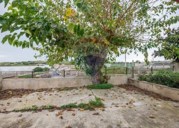 Giardino - Villa Via del Gorgo salato
 
44, Ispica - foto 10