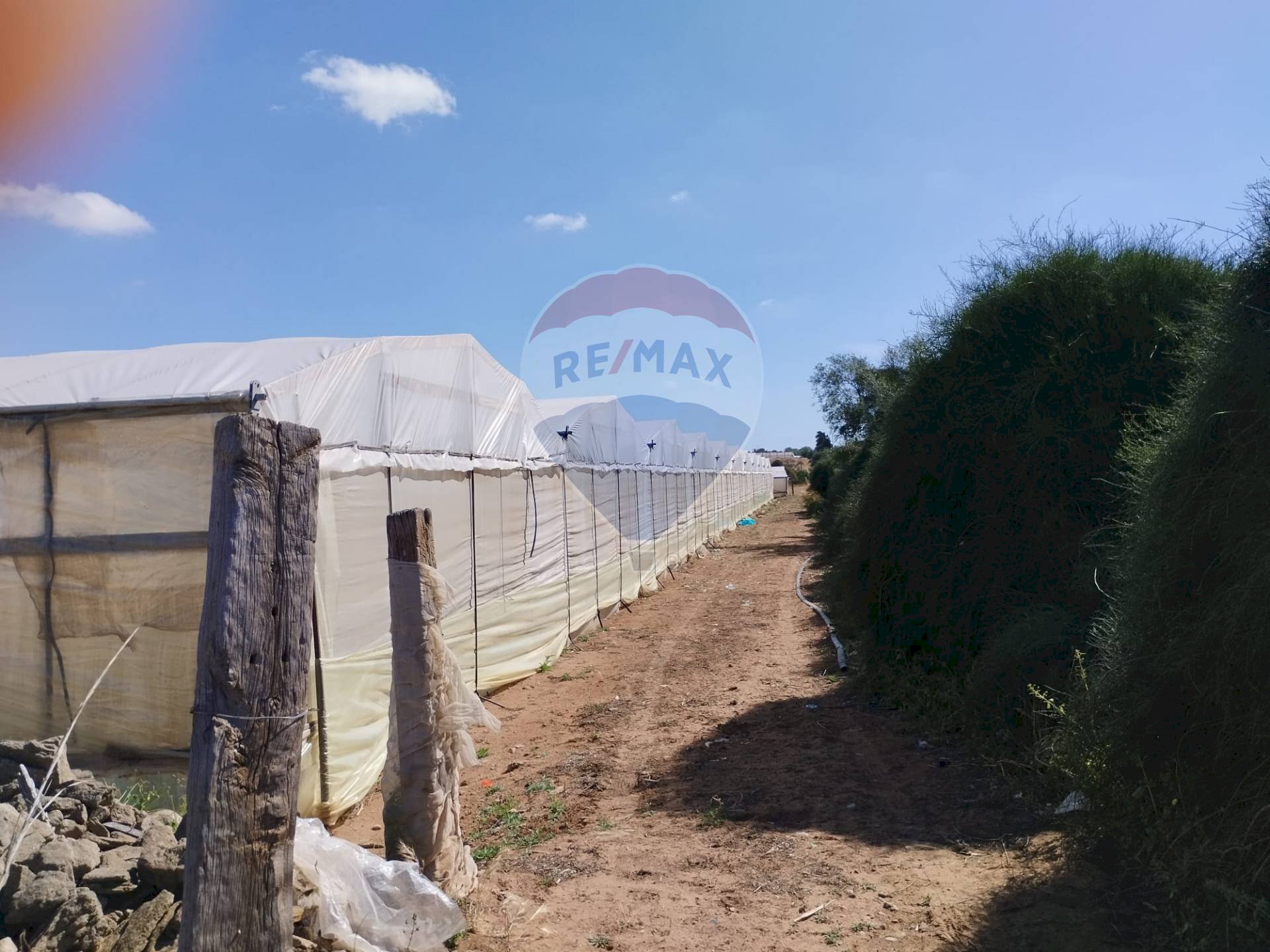 Giardino - Terreno agricolo Vittoria - foto 1