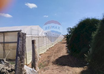 Giardino - Terreno agricolo Vittoria - foto 1