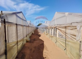 Terrazza - Terreno agricolo Vittoria - foto 2