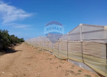 Vista dell\'acqua - Terreno agricolo Vittoria - foto 4