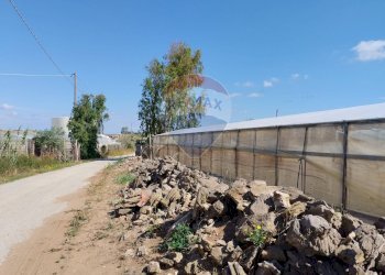 Giardino - Terreno agricolo Vittoria - foto 5